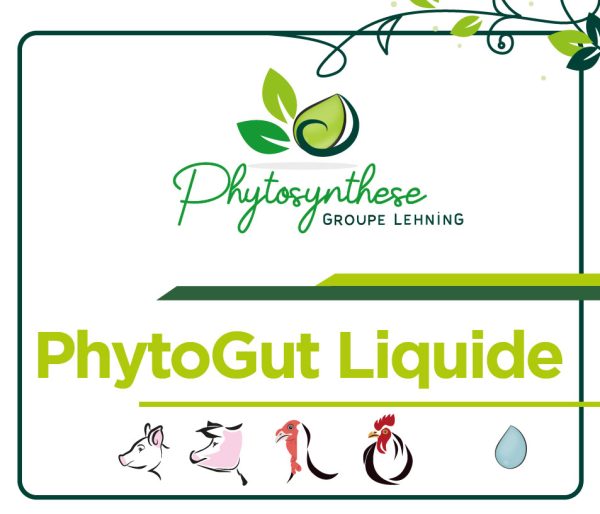 PhytoGut Liquide