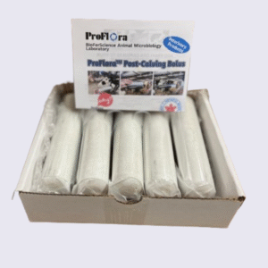 Fresh-Cow Capsule (Copie)